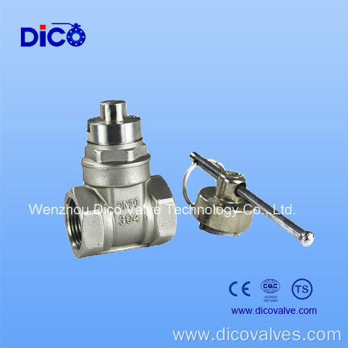 Stainless Steel Screw End Magnet Lock Gate Valve